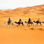 Casablanca to Marrakech desert trip 7 days