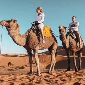 camel trek in Sahara desert