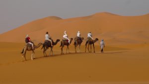 3 days desert tour from Errachidia to Marrakech