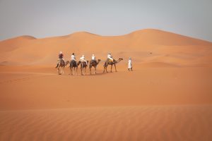 Things to do in Merzouga desert